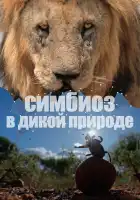  Симбиоз в дикой природе смотреть онлайн сериал 1 сезон 